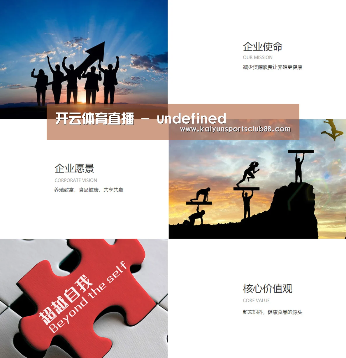 企业文化(图1)